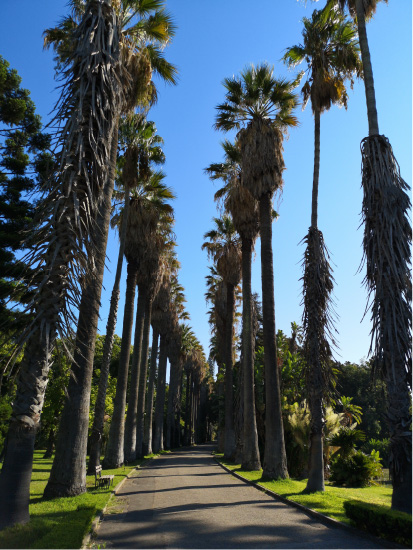 JARDIM BOTÂNICO TROPICAL