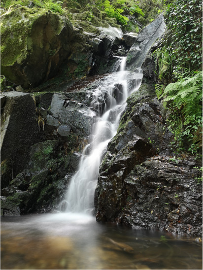 PASSADIÇOS DO PAIVA